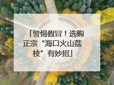 警惕假冒！选购正宗“海口火山荔枝”有妙招