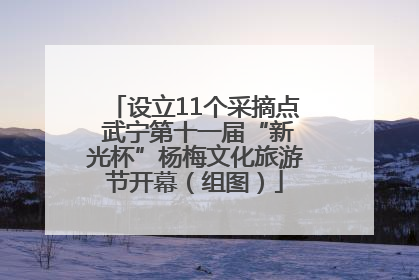 设立11个采摘点 武宁第十一届“新光杯”杨梅文化旅游节开幕（组图）
