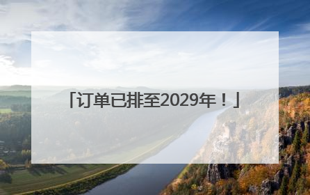 订单已排至2029年！