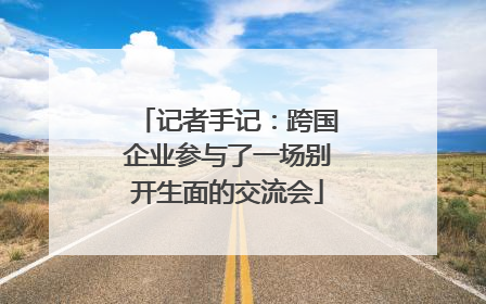 记者手记：跨国企业参与了一场别开生面的交流会