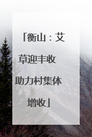 衡山：艾草迎丰收 助力村集体增收