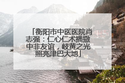 衡阳市中医医院肖志强：仁心仁术播撒中非友谊，岐黄之光照亮津巴大地