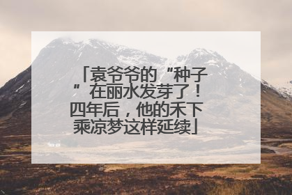 袁爷爷的“种子”在丽水发芽了！四年后，他的禾下乘凉梦这样延续
