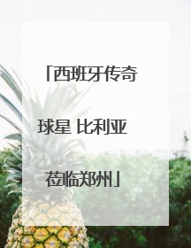 西班牙传奇球星 比利亚莅临郑州