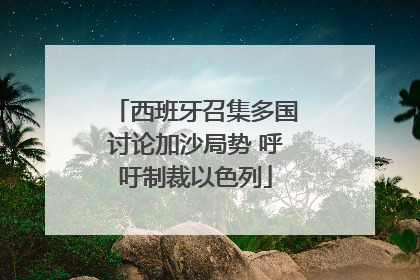 西班牙召集多国讨论加沙局势 呼吁制裁以色列
