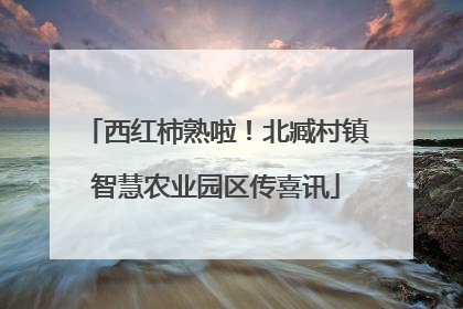 西红柿熟啦！北臧村镇智慧农业园区传喜讯
