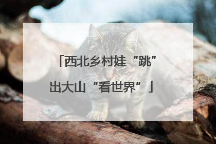 西北乡村娃“跳”出大山“看世界”