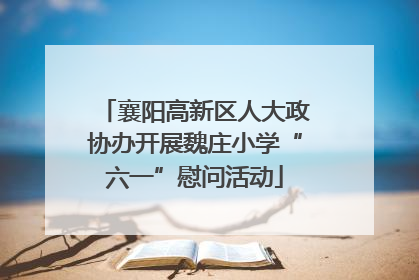 襄阳高新区人大政协办开展魏庄小学“六一”慰问活动