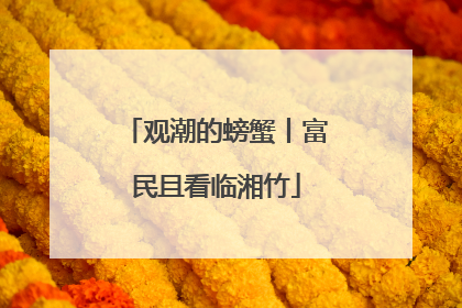 观潮的螃蟹丨富民且看临湘竹