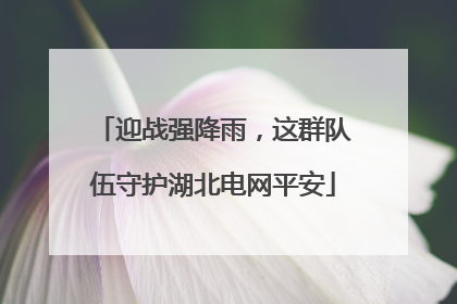 迎战强降雨，这群队伍守护湖北电网平安