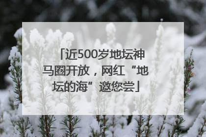 近500岁地坛神马圈开放，网红“地坛的海”邀您尝