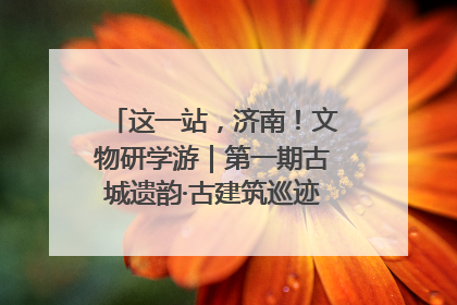 这一站，济南！文物研学游｜第一期古城遗韵·古建筑巡迹之旅圆满结束