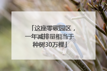 这座零碳园区，一年减排量相当于种树30万棵