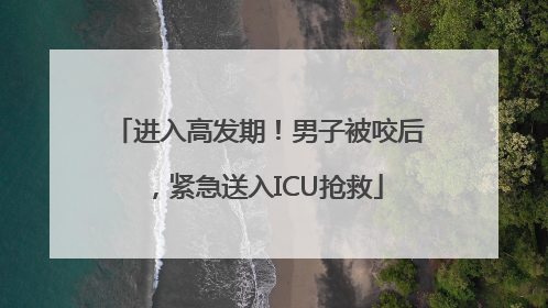 进入高发期！男子被咬后，紧急送入ICU抢救