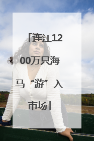 连江1200万只海马“游”入市场