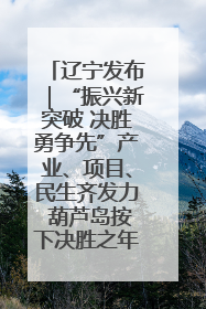 辽宁发布｜“振兴新突破 决胜勇争先”产业、项目、民生齐发力 葫芦岛按下决胜之年“加速键”