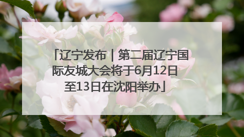 辽宁发布｜第二届辽宁国际友城大会将于6月12日至13日在沈阳举办