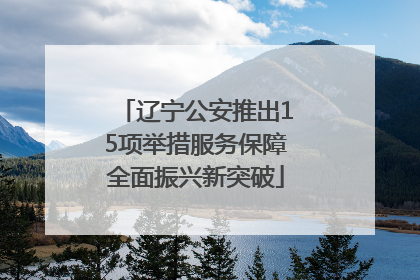 辽宁公安推出15项举措服务保障全面振兴新突破