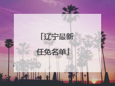 辽宁最新任免名单
