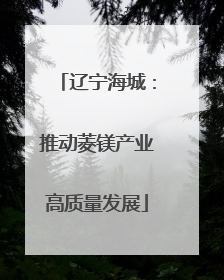 辽宁海城：推动菱镁产业高质量发展