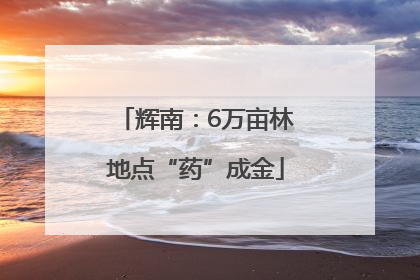 辉南：6万亩林地点“药”成金