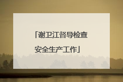 谢卫江督导检查安全生产工作