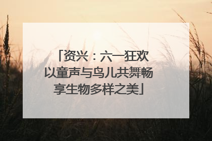 资兴：六一狂欢 以童声与鸟儿共舞畅享生物多样之美