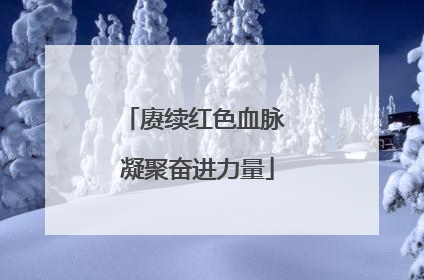 赓续红色血脉 凝聚奋进力量