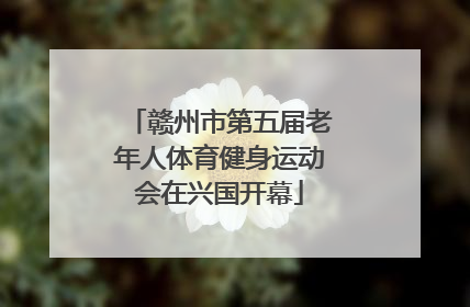 赣州市第五届老年人体育健身运动会在兴国开幕