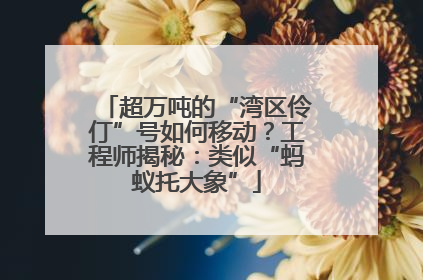 超万吨的“湾区伶仃”号如何移动？工程师揭秘：类似“蚂蚁托大象”