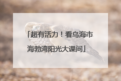 超有活力！看乌海市海勃湾阳光大课间