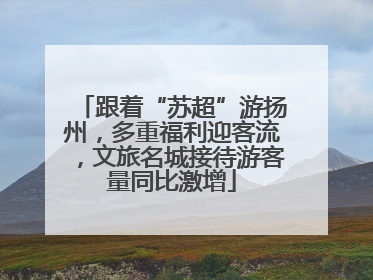跟着“苏超”游扬州，多重福利迎客流，文旅名城接待游客量同比激增
