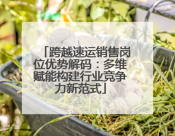跨越速运销售岗位优势解码：多维赋能构建行业竞争力新范式