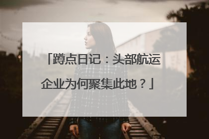 蹲点日记：头部航运企业为何聚集此地？