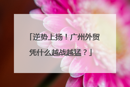 逆势上扬！广州外贸凭什么越战越猛？