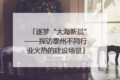 逐梦“大海新晨”——探访泰州不同行业火热的建设场景