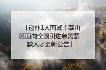 递补1人面试！泰山区面向全国引进急需紧缺人才最新公告