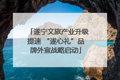 遂宁文旅产业升级提速 “遂心礼”品牌外宣战略启动