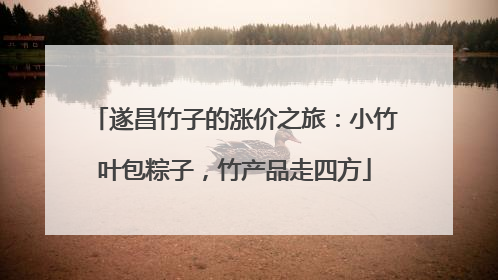 遂昌竹子的涨价之旅：小竹叶包粽子，竹产品走四方