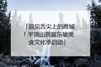 遇见舌尖上的鹰城！平顶山首届东坡美食文化季启动
