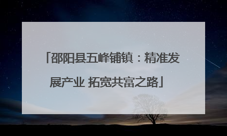 邵阳县五峰铺镇：精准发展产业 拓宽共富之路