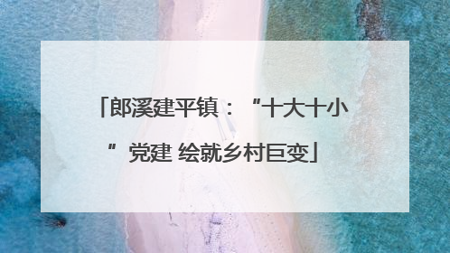 郎溪建平镇：“十大十小”党建 绘就乡村巨变