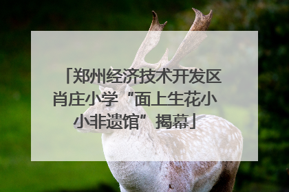 郑州经济技术开发区肖庄小学“面上生花小小非遗馆”揭幕