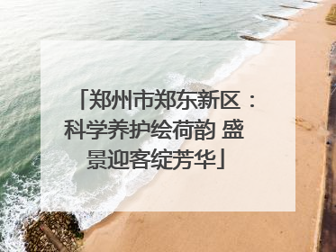 郑州市郑东新区：科学养护绘荷韵 盛景迎客绽芳华