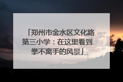 郑州市金水区文化路第三小学：在这里看到拳不离手的风景
