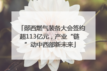 郧西燃气装备大会签约超113亿元，产业“链”动中西部新未来