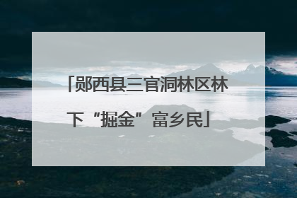 郧西县三官洞林区林下“掘金”富乡民