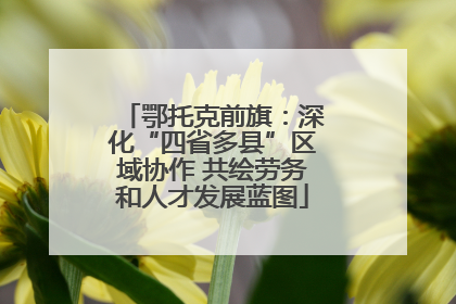 鄂托克前旗：深化“四省多县”区域协作 共绘劳务和人才发展蓝图