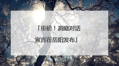 重磅！洞庭对话宣言在岳阳发布