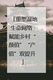 重塑湿地生命网络 赋能乡村“颜值”“产值”双提升